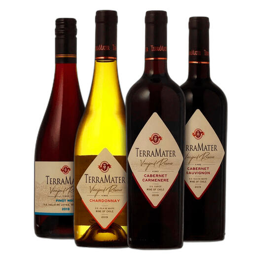 KIT-QUARTETO-TERRAMATER